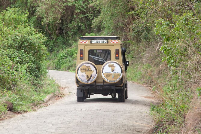 Common 5 Days Tanzania Serengeti Big 5 Private Safari | BURIGI CHATO SAFARIS - The guide, vehicle, and day-to-day comfort