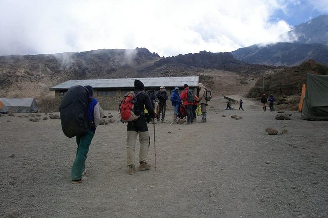 Conquer Kilimanjaro: 5-Day Marangu Route Adventure - Day Four: The Long Push to Uhuru Peak
