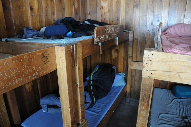 Conquer Kilimanjaro: 5-Day Marangu Route Adventure - Day Five: Back Through the Forest to Moshi