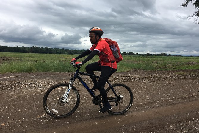 Cycling through the TPC plantations - Leaving Moshi at 7:30 am