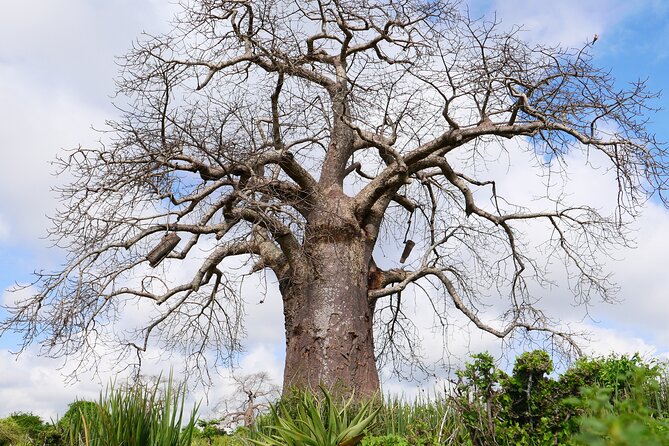 Cycling through the TPC plantations - How hard is the ride?