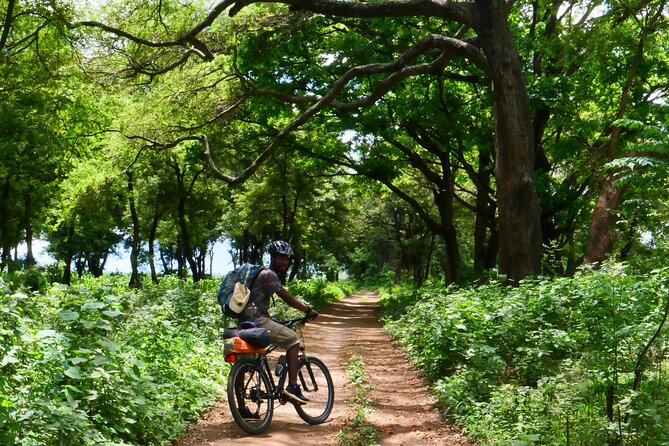 Cycling through the TPC plantations - The guides make the difference