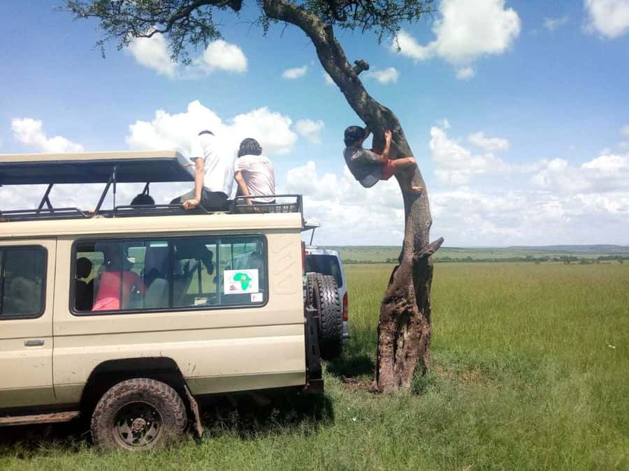 Dar el Salam: Full-Day Mikumi National Park Tour - Booking questions worth asking first