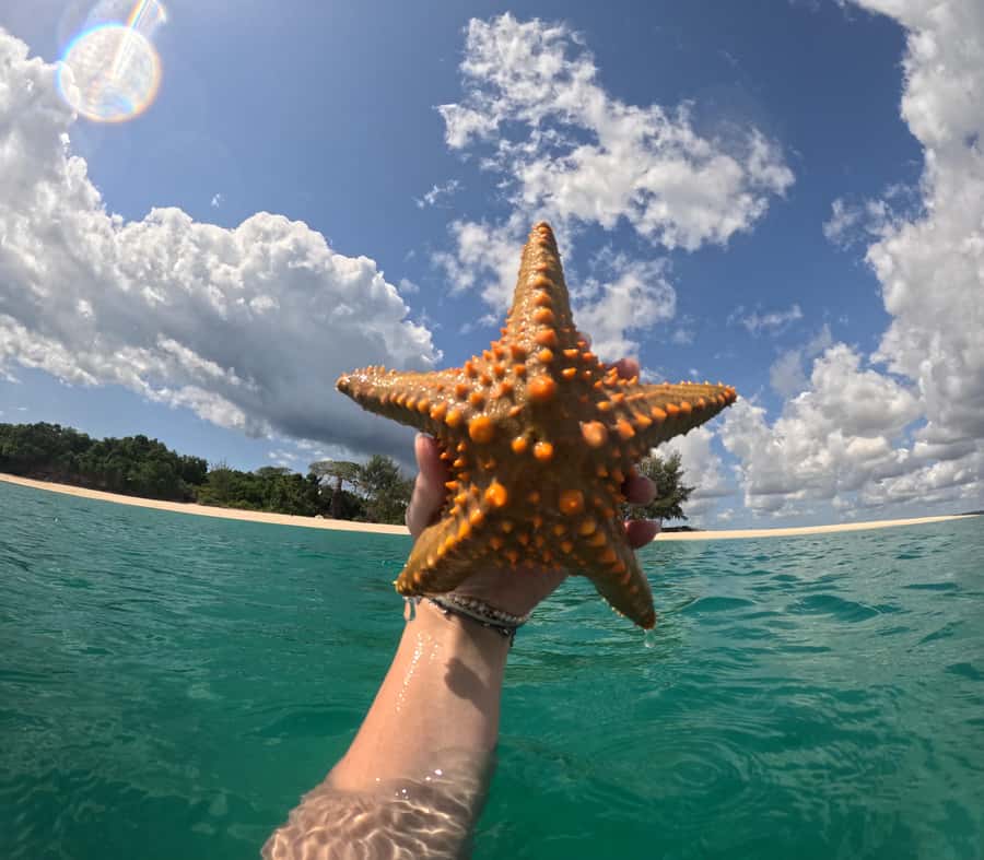 DAR ES SALAAM:BONGOYO ISLAND SNORKELING TOUR & BEACH ESCAPE - What to bring for a comfortable day