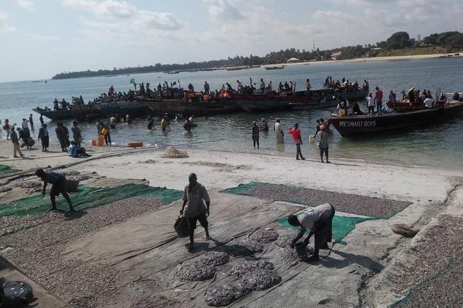 Dar es Salaam City Tour - Everyday - Guides, comfort, and the private format