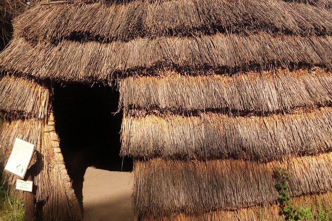 Dar es Salaam City Walking tour - Explore the Life of the Local People! - Mwenge Curio Shops and the longer day