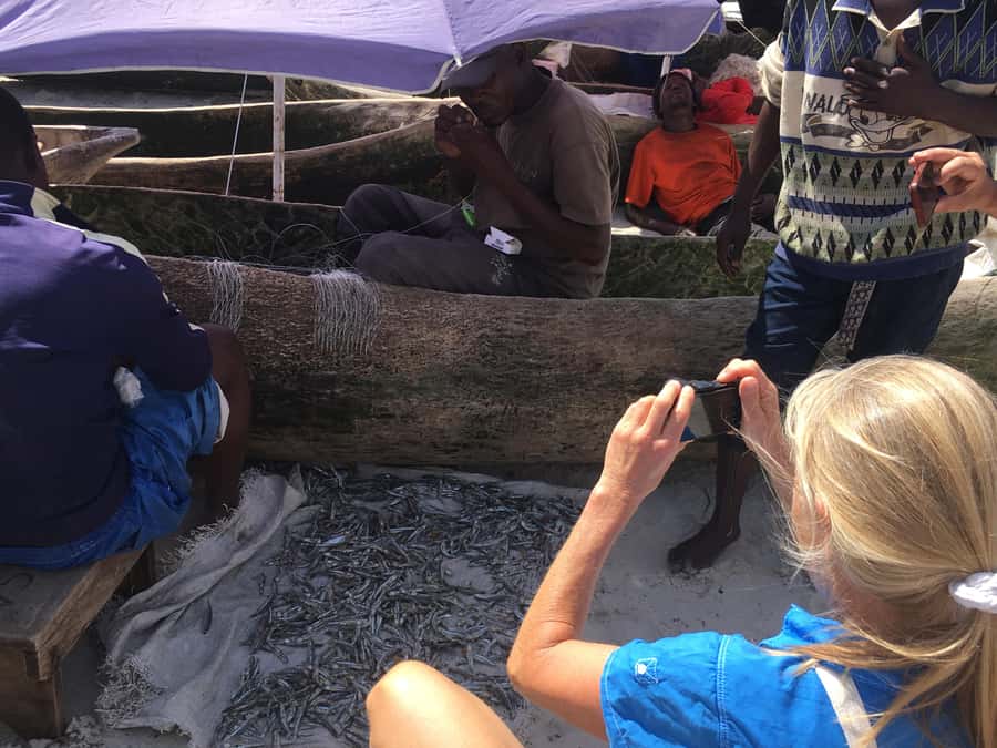 Dar es Salaam: Experience the real Dar es Salaam (City Tour) - Five useful things to know before you go