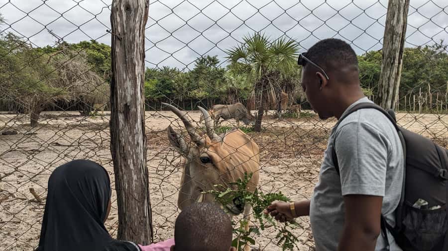 Dar es Salaam: Experience the real Dar es Salaam (City Tour) - Askari Monument and the city’s colonial-era story