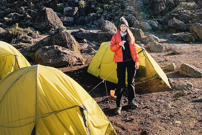 Day Hike to Mount Kilimanjaro (Mandara Hut) - What this Kilimanjaro day hike really offers