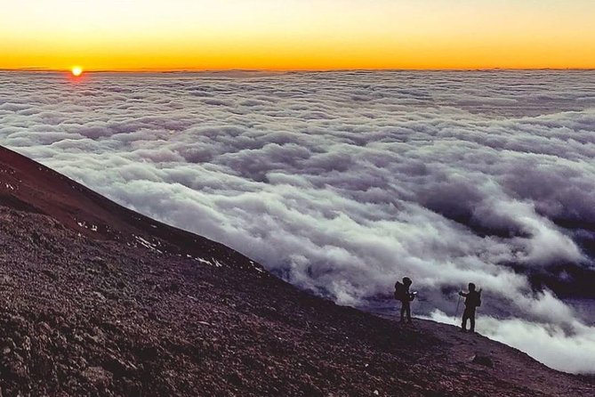 Day Hike to Mount Kilimanjaro (Mandara Hut) - Returning from Mandara Hut to Marangu Gate