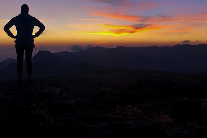 Day Hike to Mount Kilimanjaro (Mandara Hut) - How the $342.70 price measures up
