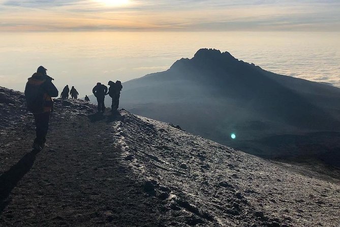 Day Hike to Mount Kilimanjaro (Mandara Hut) - Who should book this private hike?