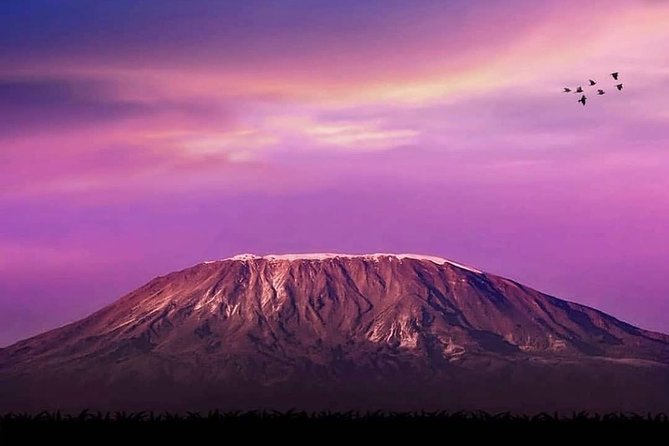 Day Hike to Mount Kilimanjaro (Mandara Hut) - Three hours uphill to Mandara Hut