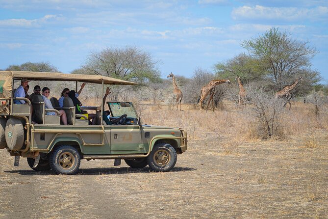 Day Safari Tour Selous Game Reserve - From Zanzibar airport to the African bush