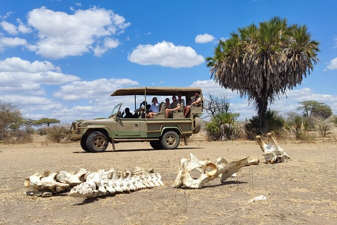 Day Safari Tour Selous Game Reserve - Savannah routes, the Rufiji River, and park lakes