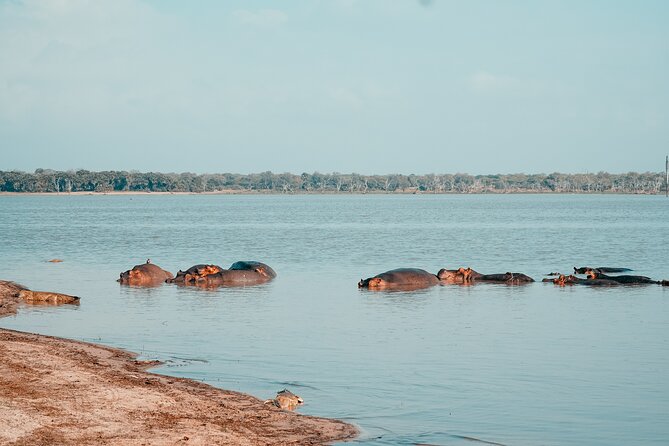 Day Safari Tour Selous Game Reserve - The experience level and who should choose it
