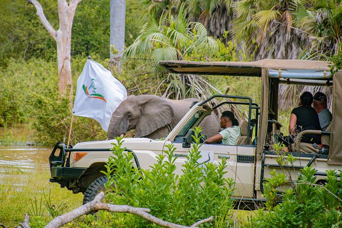 Day Safari Tour to Mikumi National Park - What the game drive can deliver