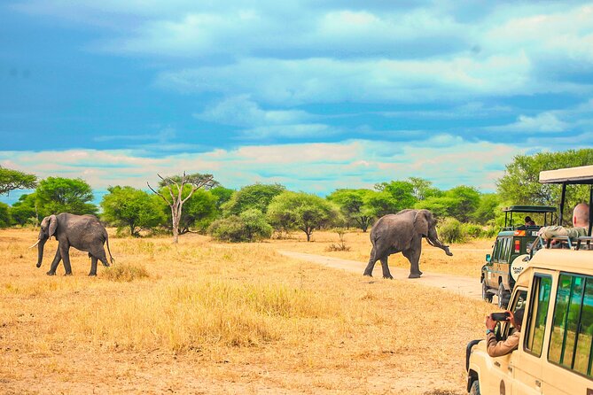 Day Safari tour to Selous Game Reserve from Zanzibar - Entering Selous Game Reserve by open jeep