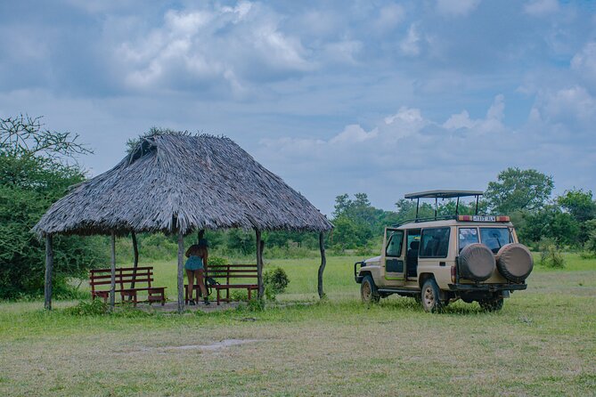 Day Safari tour to Selous Game Reserve from Zanzibar - Who will get the most from this safari?