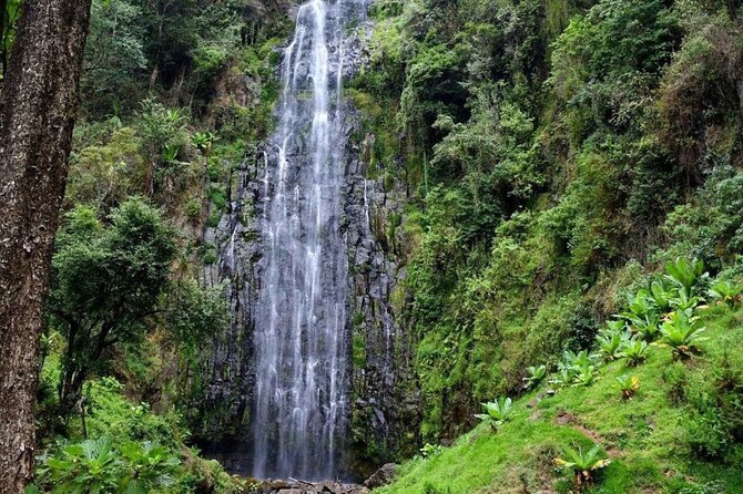 Day trip Materuni watsrfalls and chemka hotsprings tour - Key points to know before you book