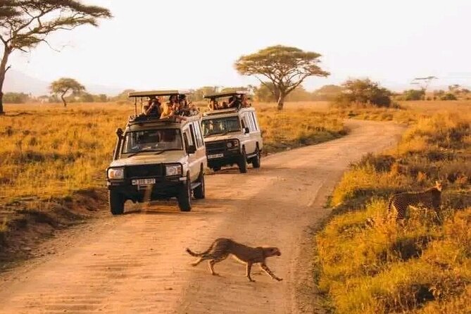 Day trip Safari to Mikumi National Park - The second game drive and the flight home
