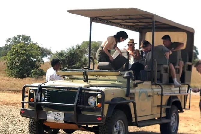 Day trip Safari to Mikumi National Park - Strengths and limits of a one-day safari