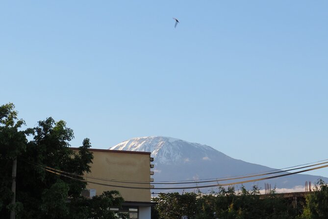Day Trip to Kilimanjaro National Park - Key points to know before you book