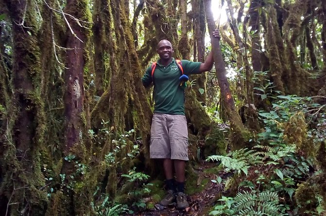 Day Trip To Lupanga Peak - Birds, Monkeys, and Mountain Plants