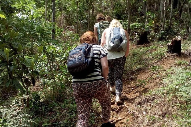 Day Trip To Lupanga Peak - Reaching Lupanga Peak and the German Tower