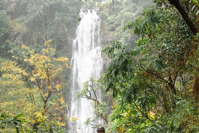 Day trip to Materuni waterfall, Coffee tour and Moshi Nightlife - Who will get the most from this day