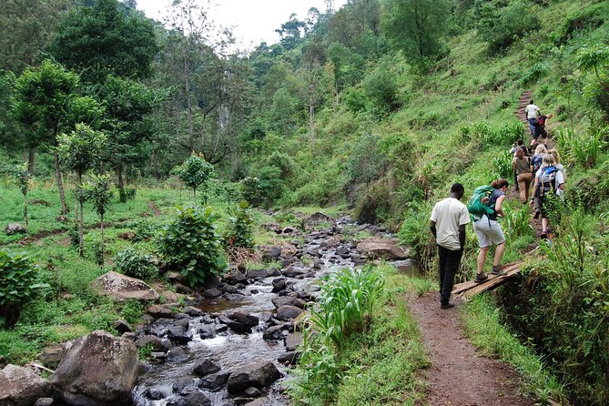 Day Trip To Materuni Waterfalls - Five details that shape the day