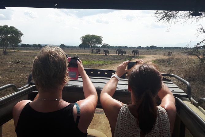 Day trip to Mikumi National Park from Dar es salaam - Key points to know before booking