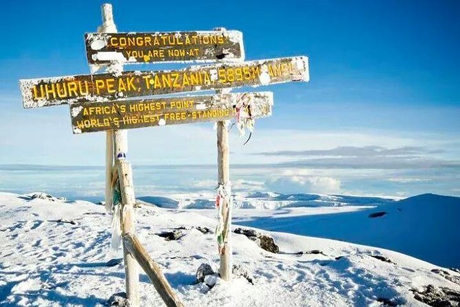 Day trip to mount Kilimanjaro - Who should book this Kilimanjaro day trip?
