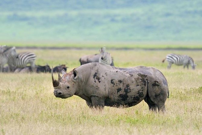 Day Trip to Ngorongoro Crater - Is $345 per person good value?