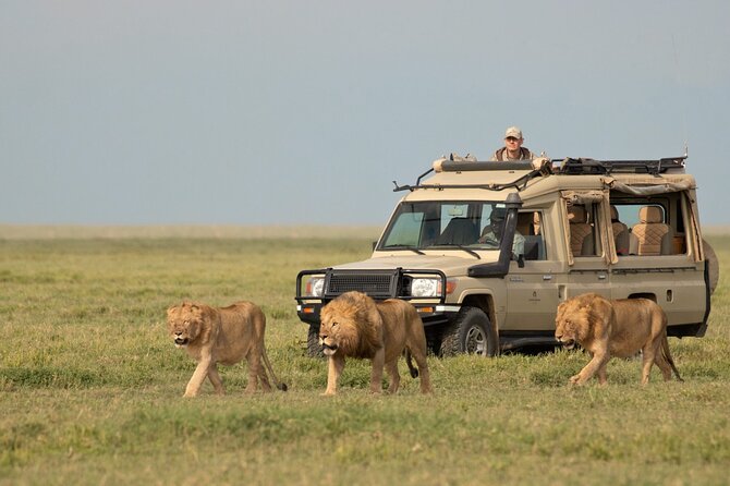 Day Trip to Selous (Nyerere) National Park Flying from Zanzibar - Who will enjoy this most?
