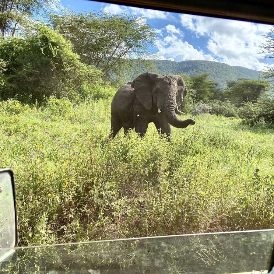 Day trip to tarangire national park - Why Tarangire works so well for a one-day safari