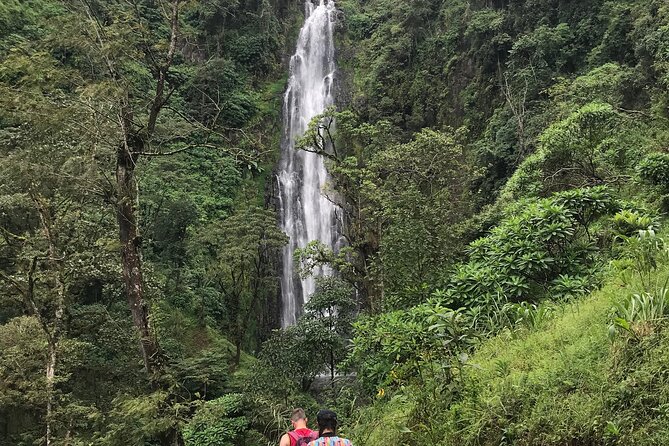 DayTour to Materuni Waterfalls with Coffee & Hotsprings Excursion - Key Points Before You Book