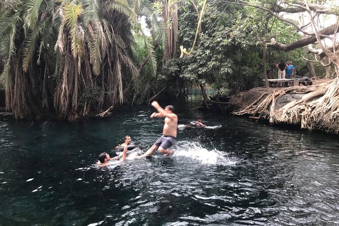 DayTour to Materuni Waterfalls with Coffee & Hotsprings Excursion - Is $150 a Fair Price?