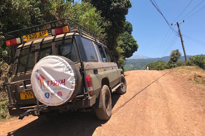 DayTour to Materuni Waterfalls with Coffee & Hotsprings Excursion - Who Should Book This Experience?