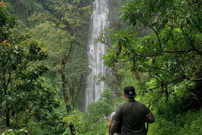 Discover Nature and Culture of Materuni Waterfall & Coffee Tour - Why this Moshi day trip works so well