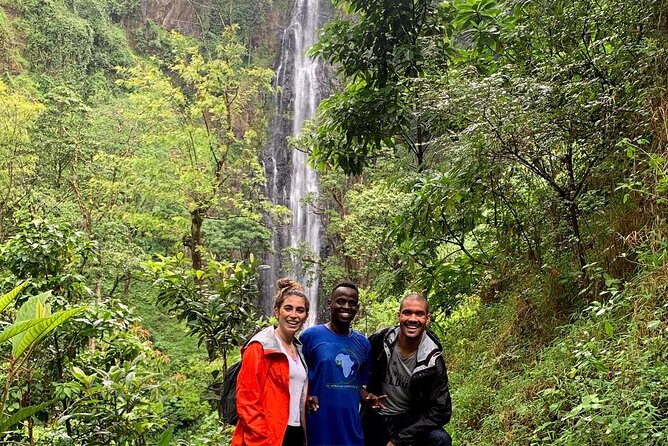 Discover Nature and Culture of Materuni Waterfall & Coffee Tour - The 70 to 80-meter waterfall and cold natural pool