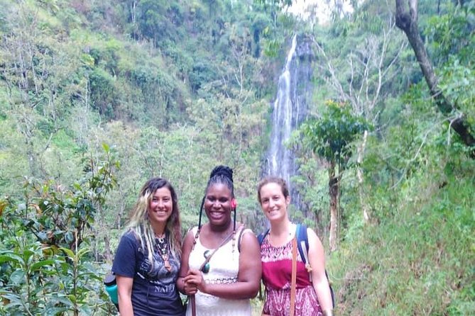 Discover Nature and Culture of Materuni Waterfall & Coffee Tour - What the $50 price includes