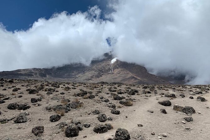 Discover Our Latest 6 Days Climbing Kilimanjaro - Marangu Route - Day five: the 12-hour push to Uhuru Peak