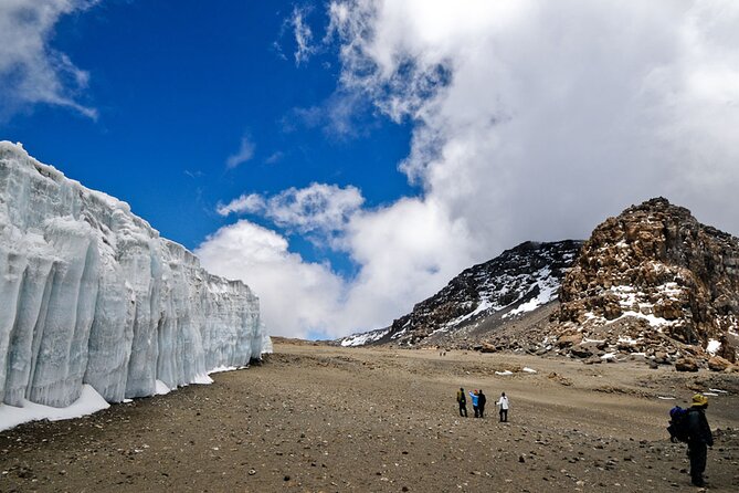Discover Our Latest 6 Days Climbing Kilimanjaro - Marangu Route - Day six: descending through Mandara to Moshi