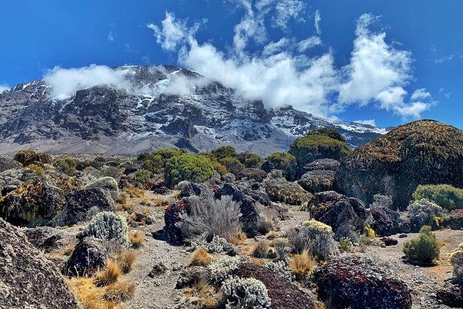 Discover Our Latest 6 Days Climbing Kilimanjaro - Marangu Route - What the $1,150 price really covers