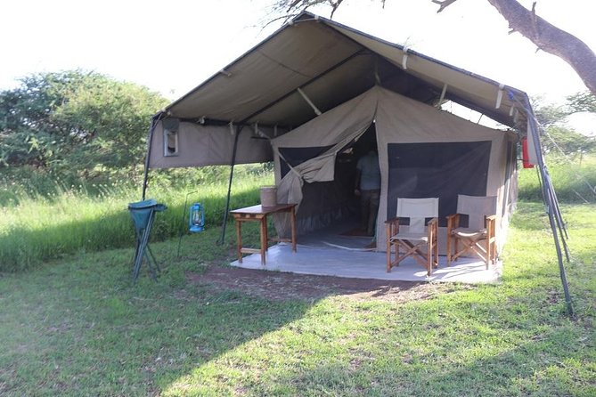 Discover Tanzania through the 3 wild classics - Who should book this safari?
