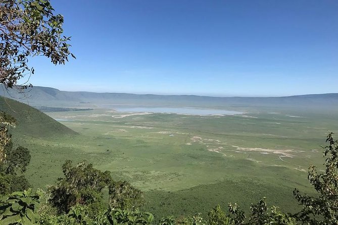 Discover Tanzania through the 3 wild classics - Your guide can shape the whole safari