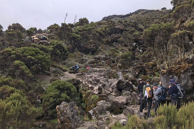 Discover The Best 7-day Kilimanjaro climbing via Machame route - Why the Machame Route suits strong hikers