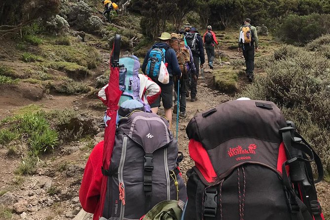 Discover The Best 7-day Kilimanjaro climbing via Machame route - Day 6: Barafu Camp to Uhuru Peak and Mweka Camp
