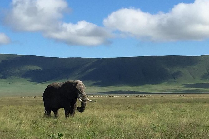 Discover The World's Top Best 4-day Tanzania Group Camping safari - Day one: Arusha to Central Serengeti